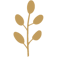 Inn on Boltwood logo